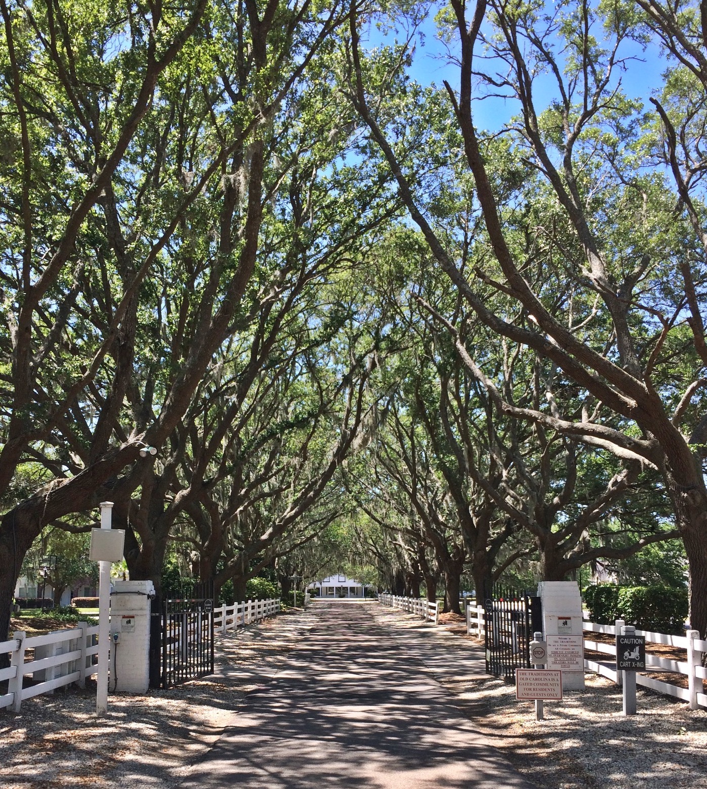 Traditions in South Carolina